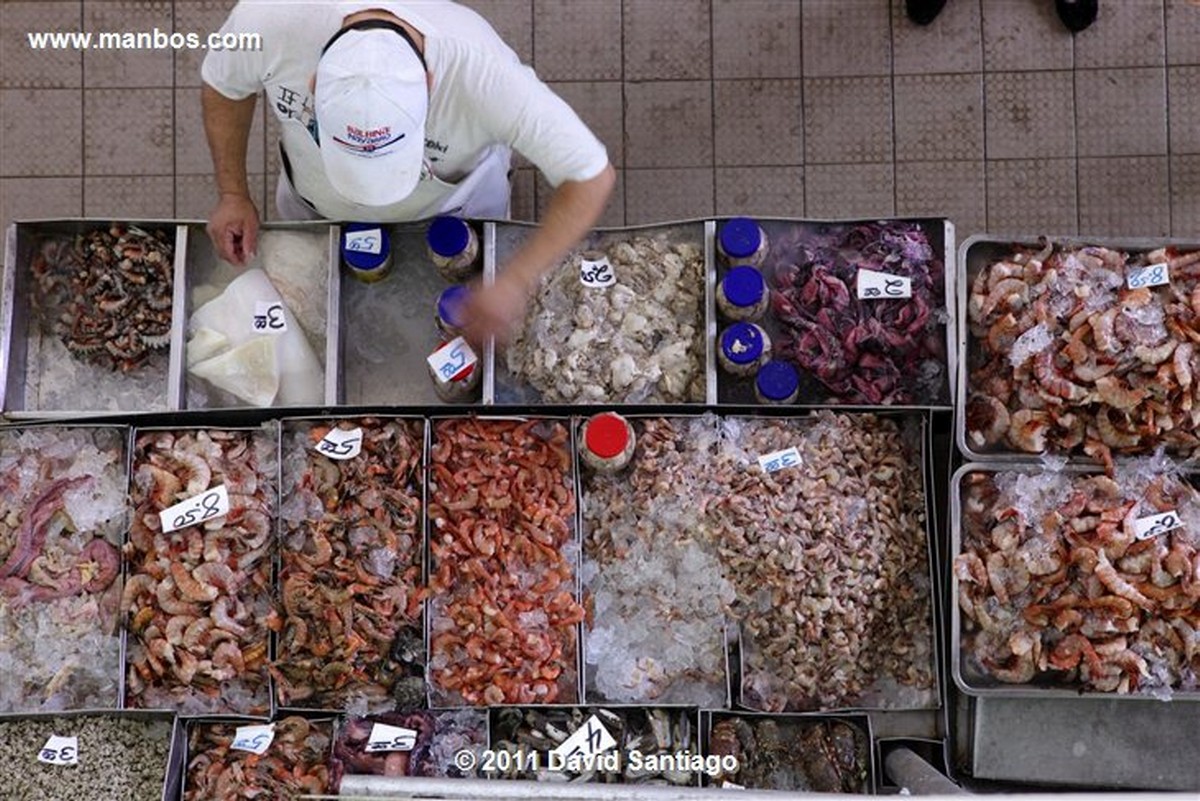 Panama
Fish Market In Panama City
Panama