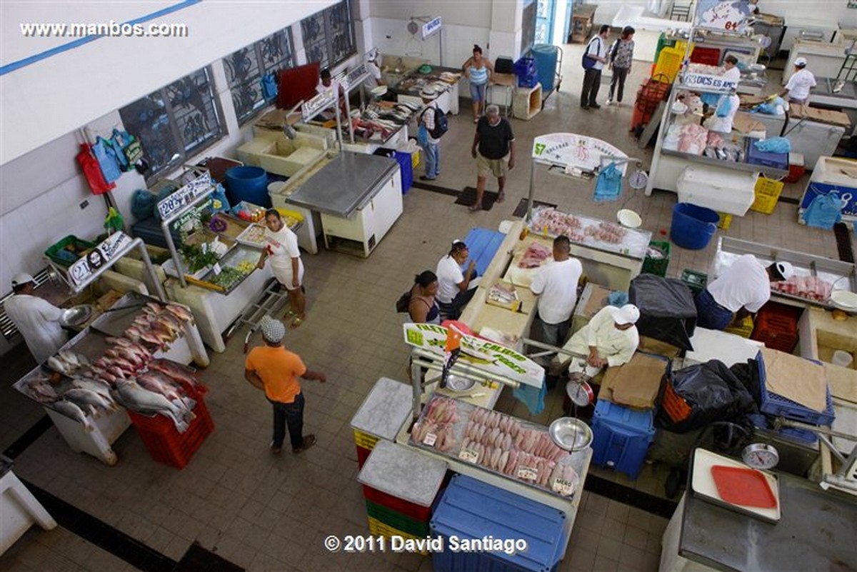 Panama
Fish Market In Panama City
Panama