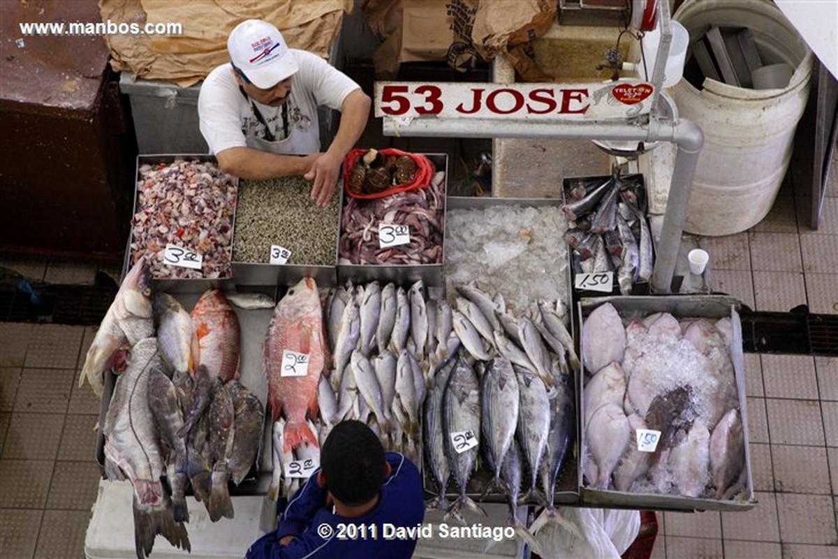 Panama
Fish Market In Panama City
Panama