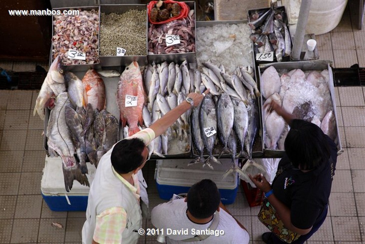 Panama
Fish Market In Panama City
Panama