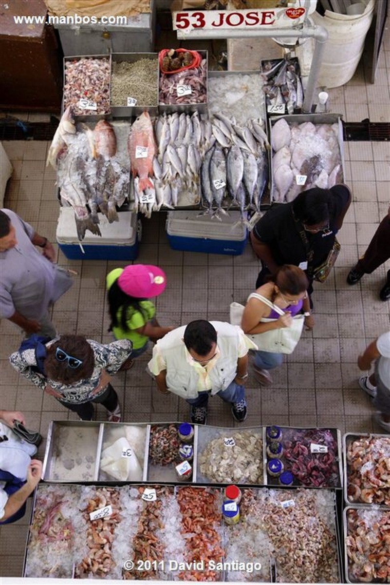 Panama
Fish Market In Panama City
Panama