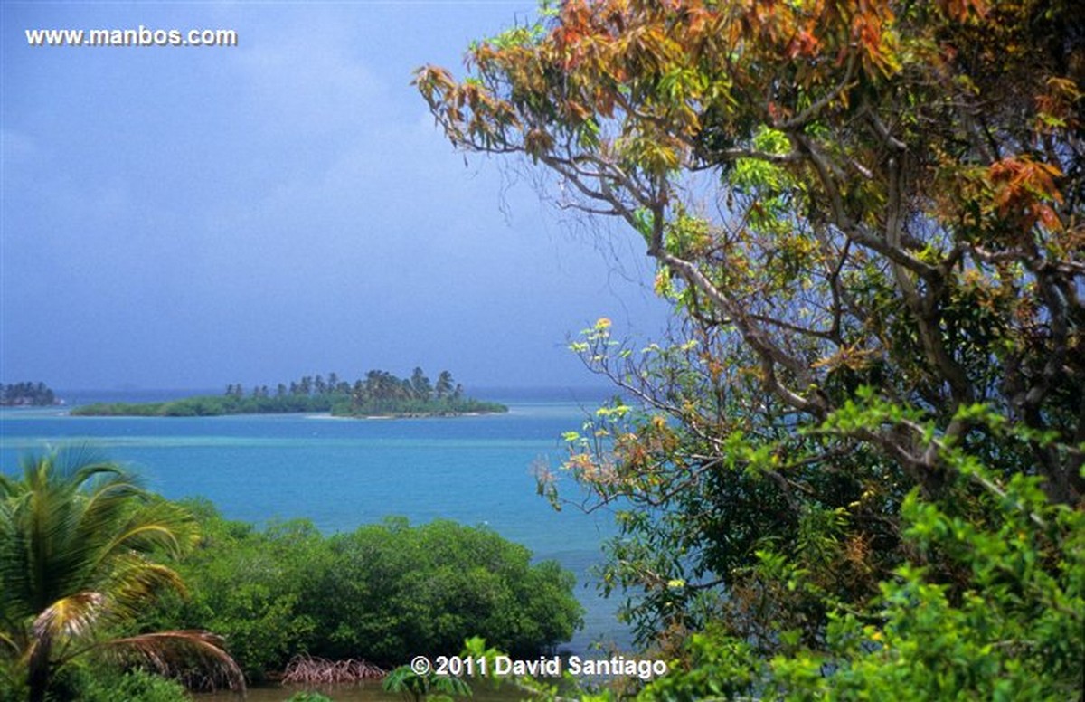 Panama
Island In The San Blas Archipelago In The Kuna Yala
Panama