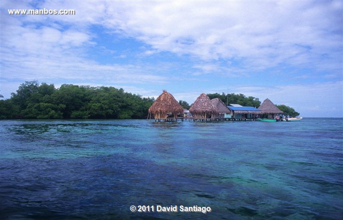 Panama
Isla Bastimentos Marine National Park  bocas del Toro  panama
Panama