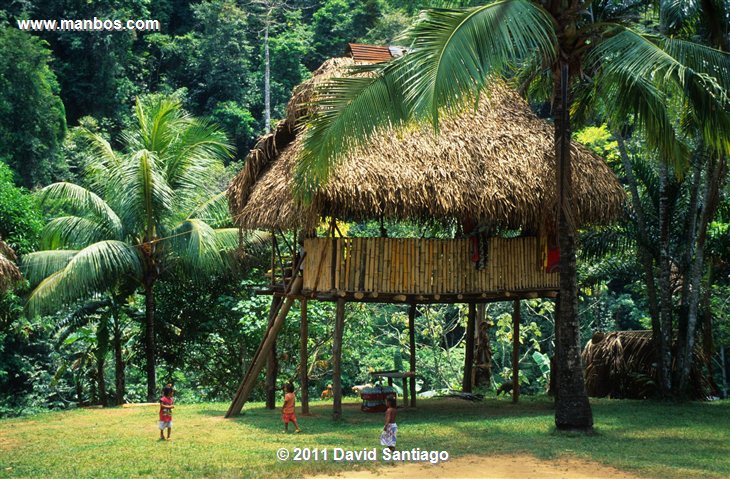 Panama
Embera Indians In The Darien Province
Panama