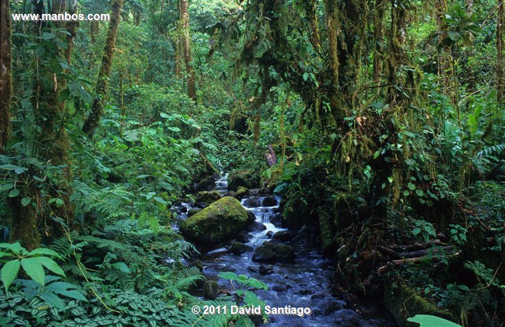 Panama
La Amistad Biosphere Reserve
Panama