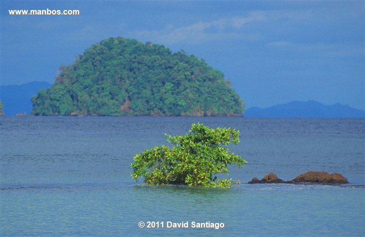 Panama
Open Skies  small Islands And The Lush Coast Of The Veraguas
Panama