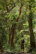 Soberania National Park, Panama, Panama