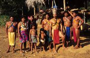 Camara Nikon SUPER COOLSCAN 5000 ED
Embera Indians In The Darien Province
Panama
PANAMA
Foto: 24381