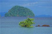 Camara Nikon SUPER COOLSCAN 5000 ED
Open Skies  small Islands And The Lush Coast Of The Veraguas
Panama
PANAMA
Foto: 24371