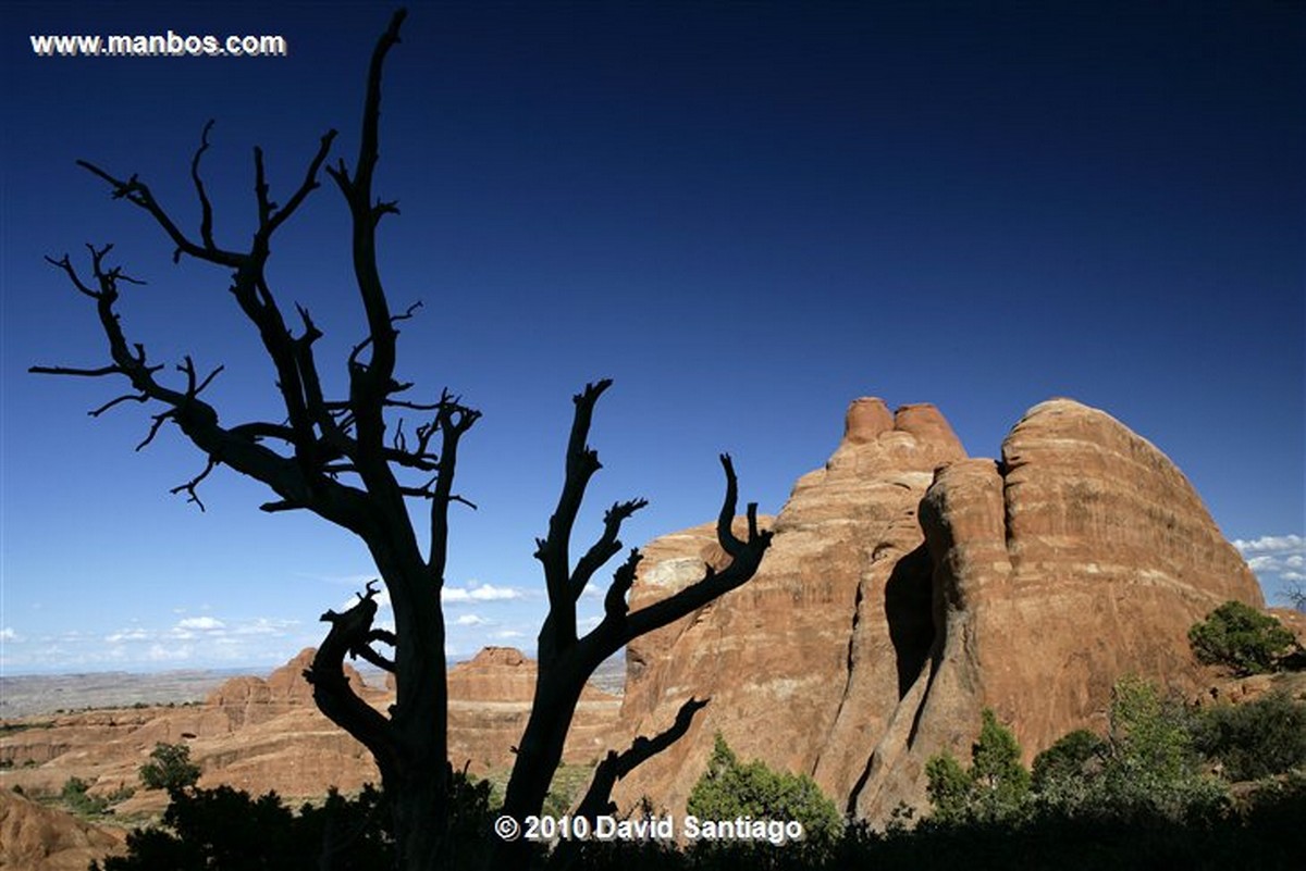 Arches National Park 
Arches National Park EEUU 
Utah 