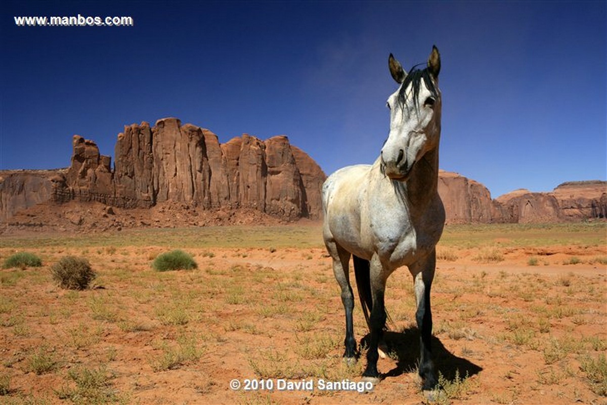 Monument Valley National Park 
Goosenecks del Rio San Juan en Utah Monument Valley EEUU 
Utah