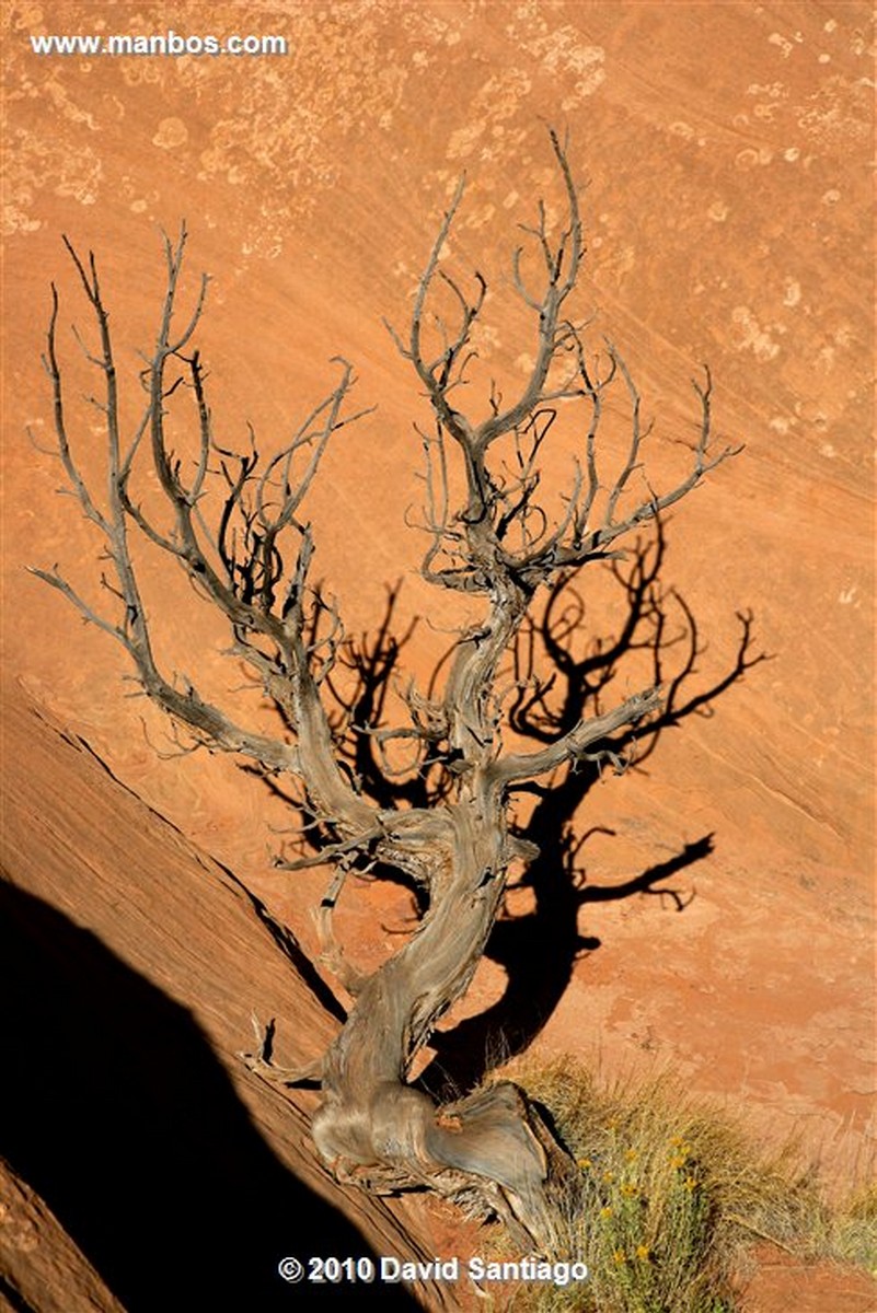 Monument Valley National Park 
Monument Valley EEUU 
Utah 