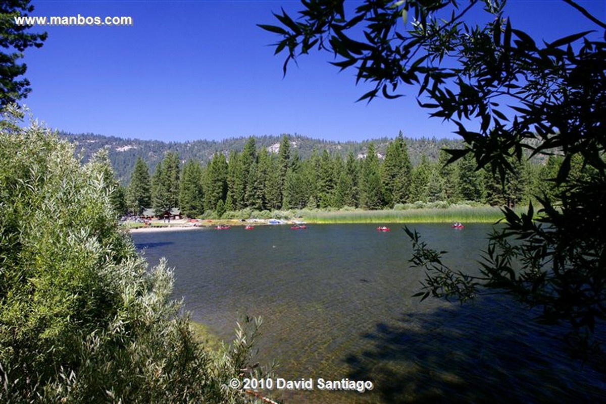 Sequoia National Park 
Sequoia National Park EEUU 
California 