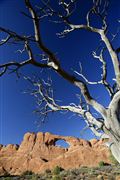 Arches National Park , Arches National Park , Estados Unidos 