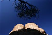 Camara Canon EOS-1Ds Mark II
Arches National Park EEUU 
Parques Nacionales EEUU
ARCHES NATIONAL PARK 
Foto: 19924