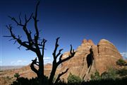 Camara Canon EOS-1Ds Mark II
Arches National Park EEUU 
Parques Nacionales EEUU
ARCHES NATIONAL PARK 
Foto: 19923