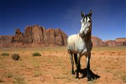 Monument Valley, Monument Valley National Park , Estados Unidos