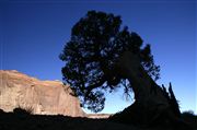 Camara Canon EOS-1Ds Mark II
Monument Valley EEUU 
Parques Nacionales EEUU
MONUMENT VALLEY NATIONAL PARK 
Foto: 19883