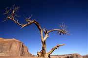 Monument Valley National Park , Monument Valley National Park , Estados Unidos 