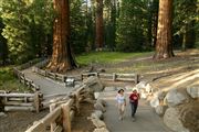 Sequoia National Park , Sequoia National Park , Estados Unidos 