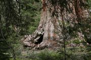 Sequoia National Park , Sequoia National Park , Estados Unidos 