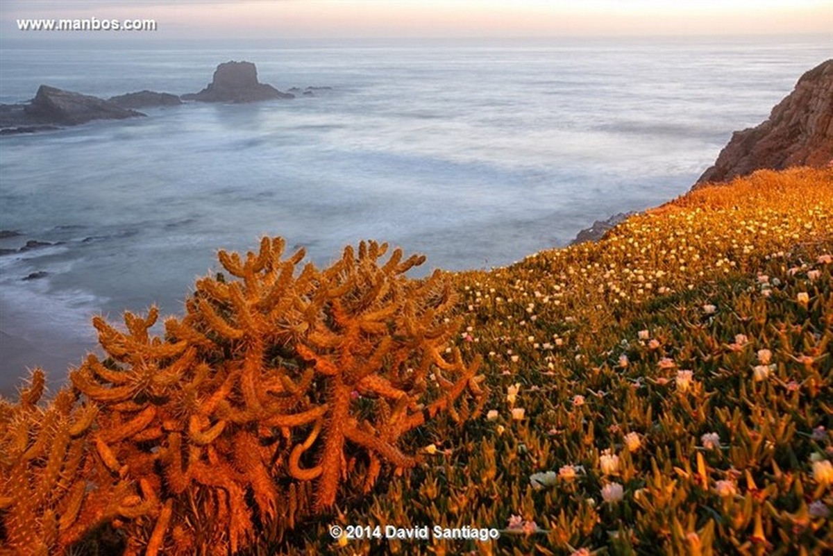 Odemira
Playa de Almograve
Alentejo