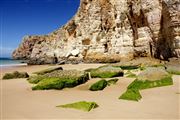 Camara Canon EOS-1Ds Mark III
Cabo de San Vicente
Playas de Portugal
SAGRES
Foto: 31626