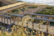 Playa de Bordeira, Aljezur, Portugal