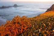 Playa de Zambujeira do Mar, Zambujeira Do Mar, Portugal