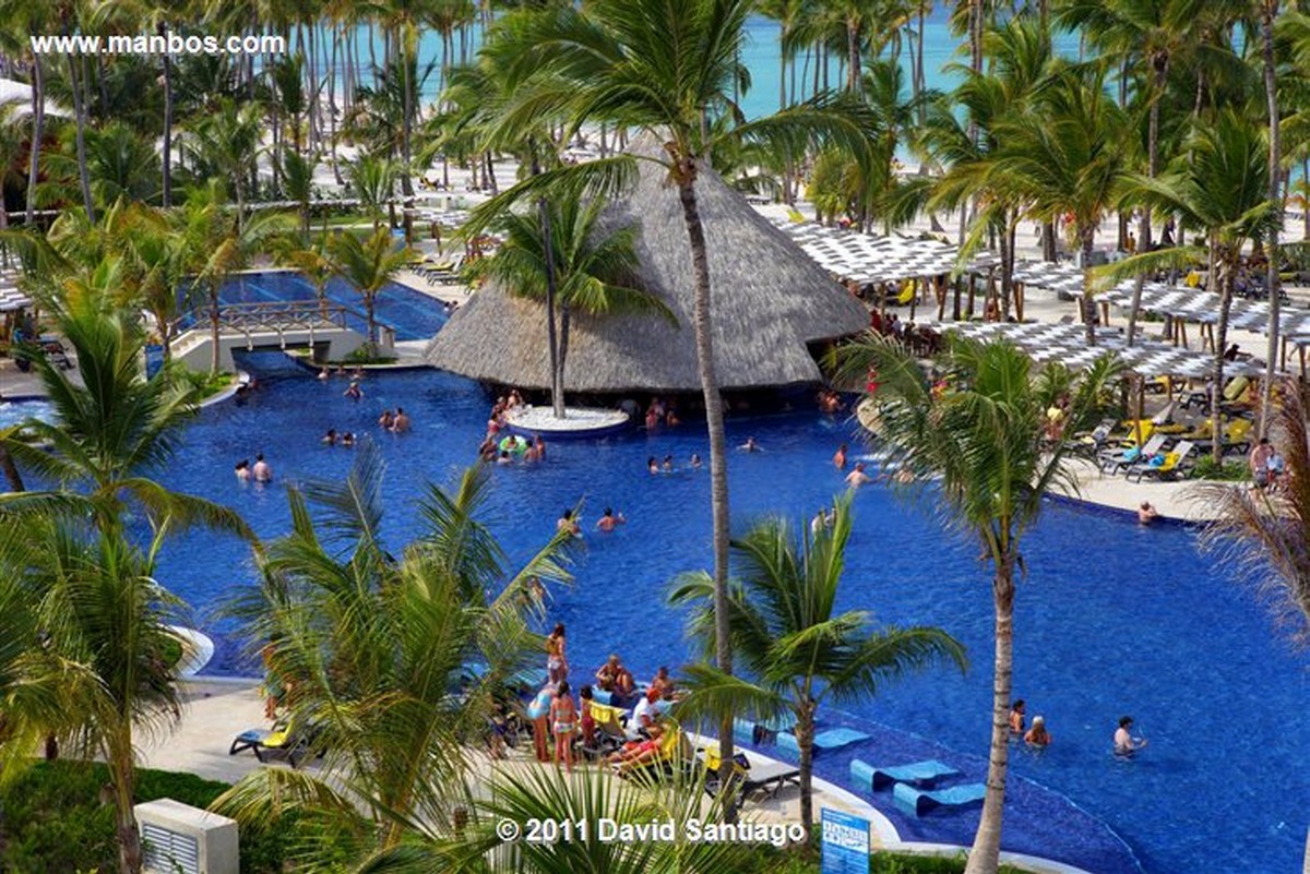 Santo Domingo
Barcelo Premium Bavaro Beach Resort Tallarines Al Fruto Di Mare
Bavaro