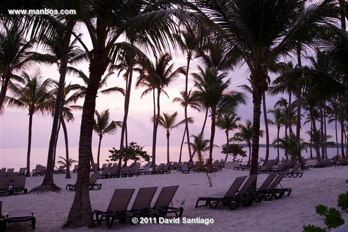 Santo Domingo
Barcelo Premium Bavaro Beach Resort
Bavaro