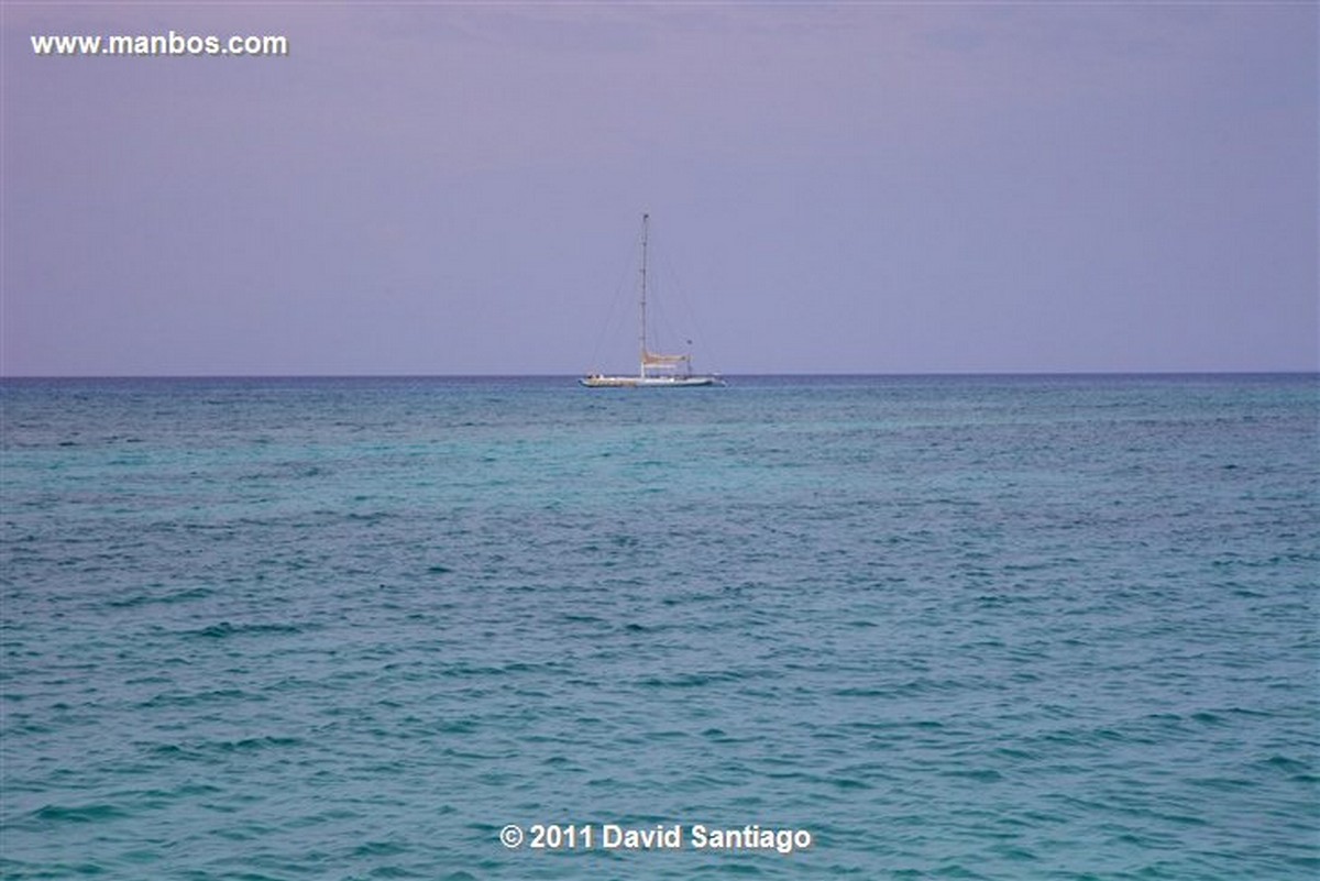 Saona Island
Saona Island
Saona Island