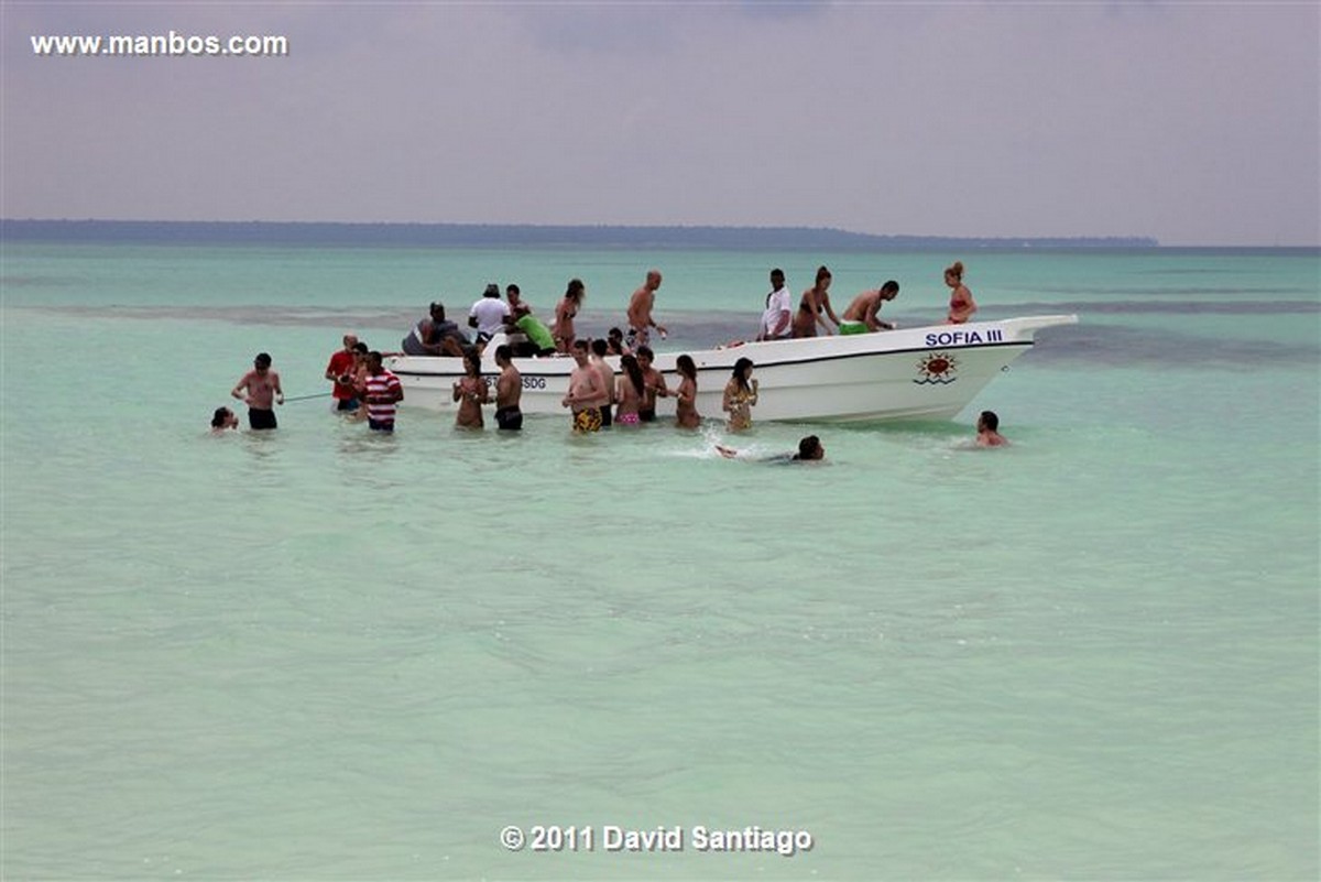 Saona Island
Saona Island
Saona Island