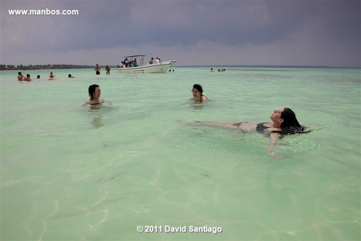 Saona Island
Saona Island
Saona Island