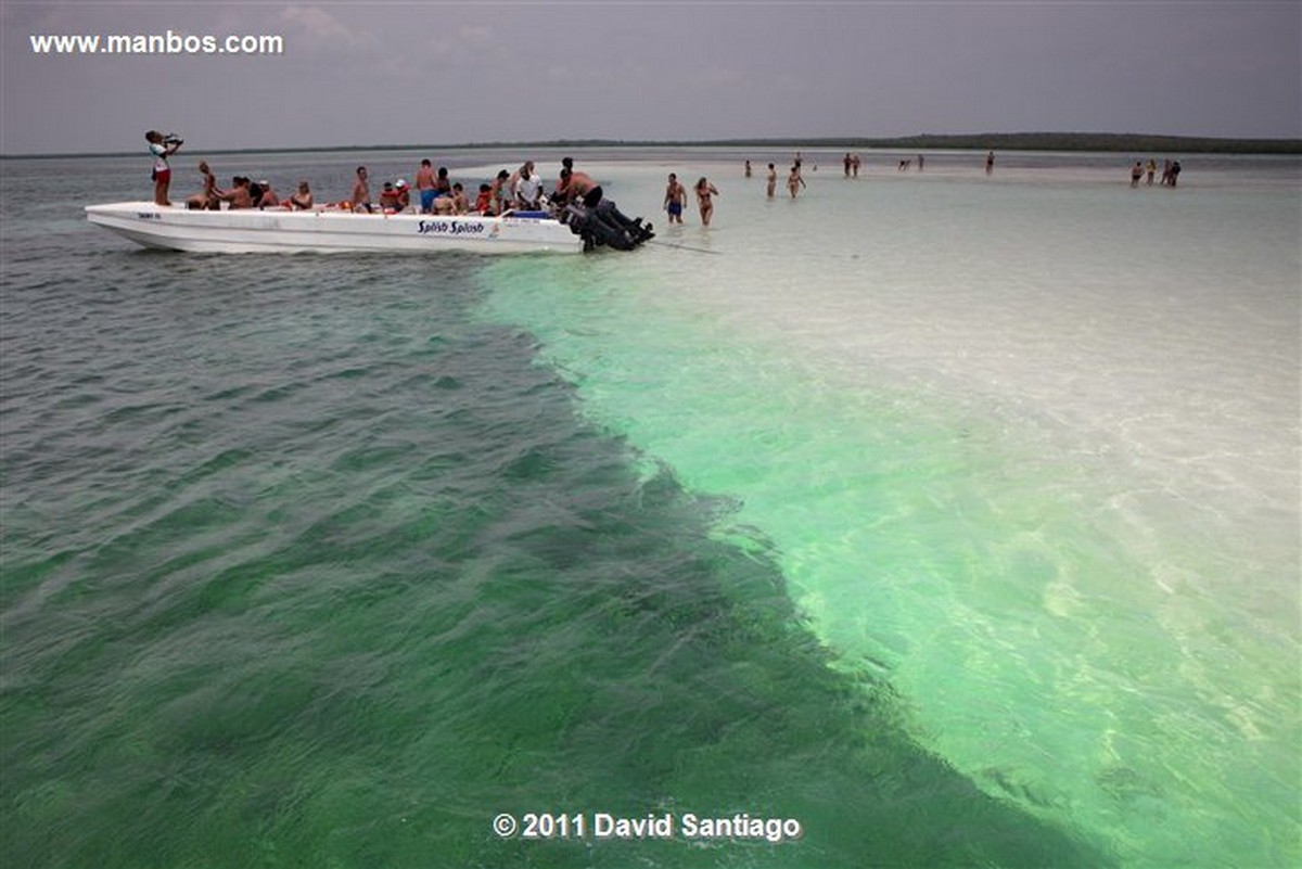 Saona Island
Saona Island
Saona Island