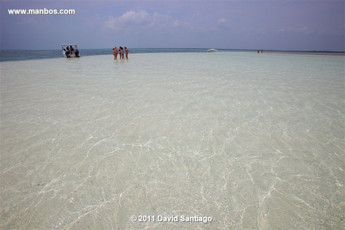 Saona Island
Saona Island
Saona Island