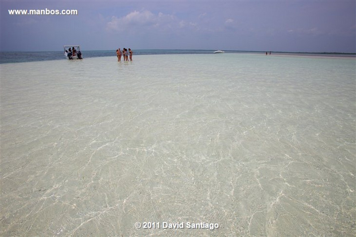 Saona Island
Saona Island
Saona Island