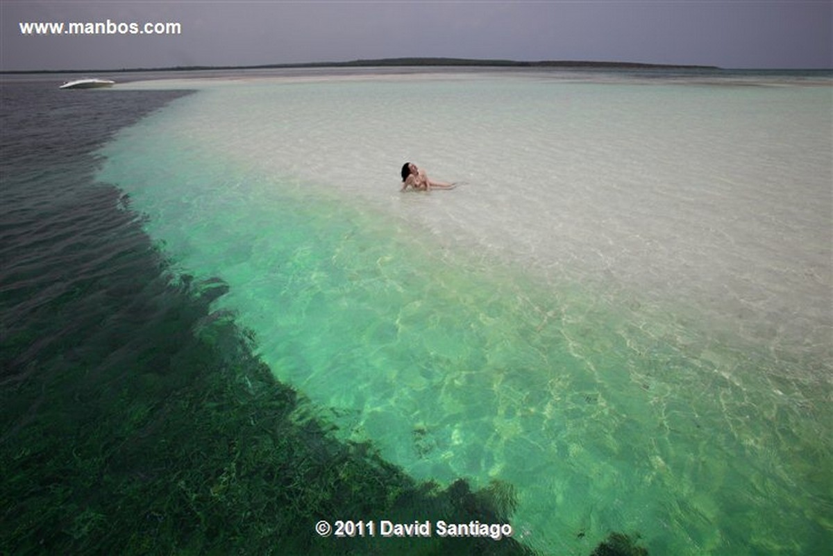 Saona Island
Saona Island
Saona Island