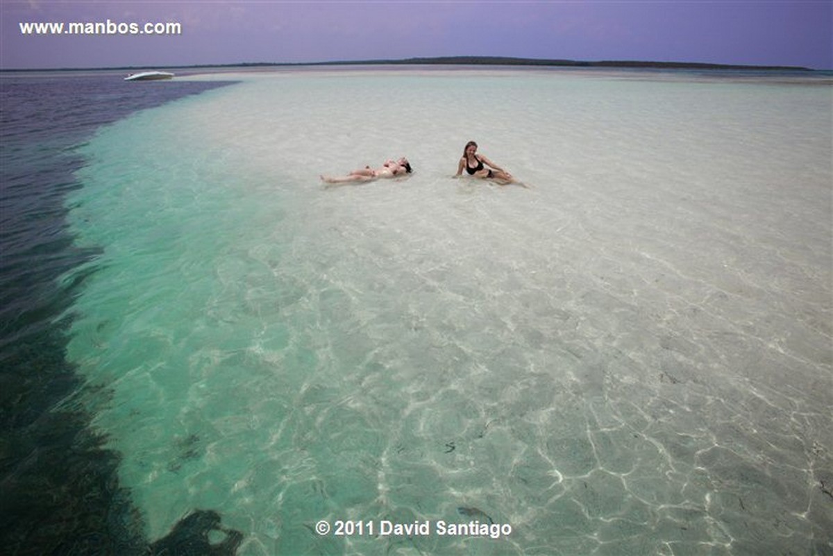 Saona Island
Saona Island
Saona Island