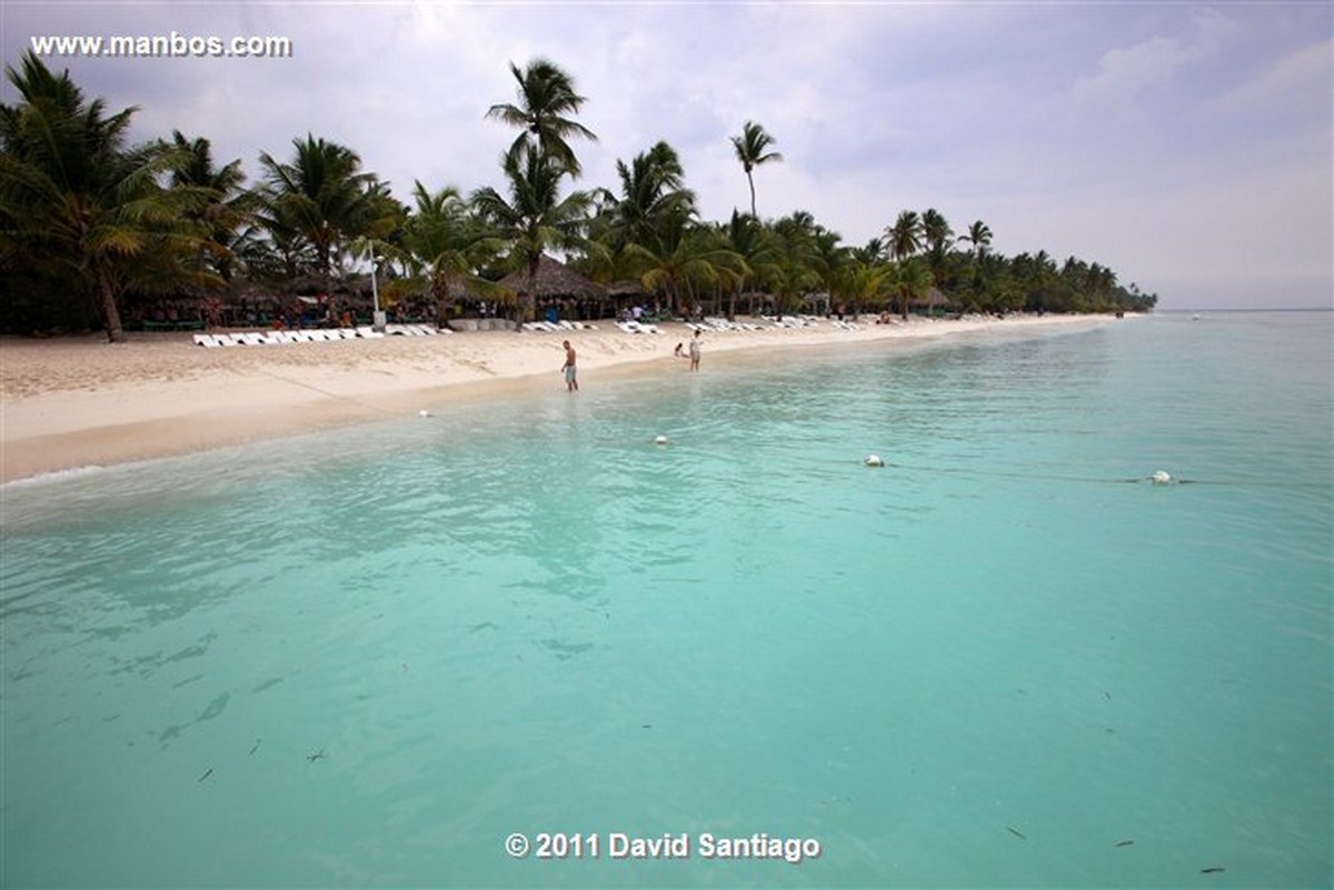 Saona Island
Saona Island
Saona Island