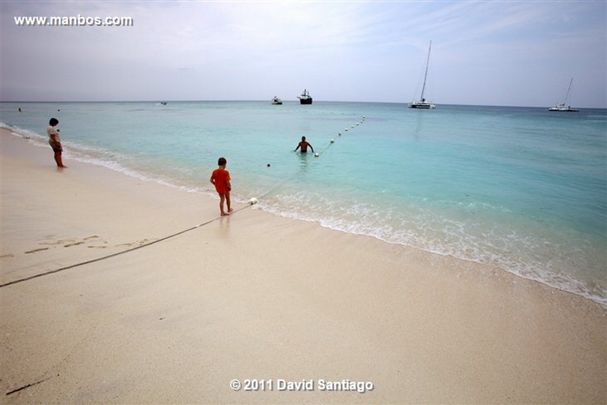 Saona Island
Saona Island
Saona Island