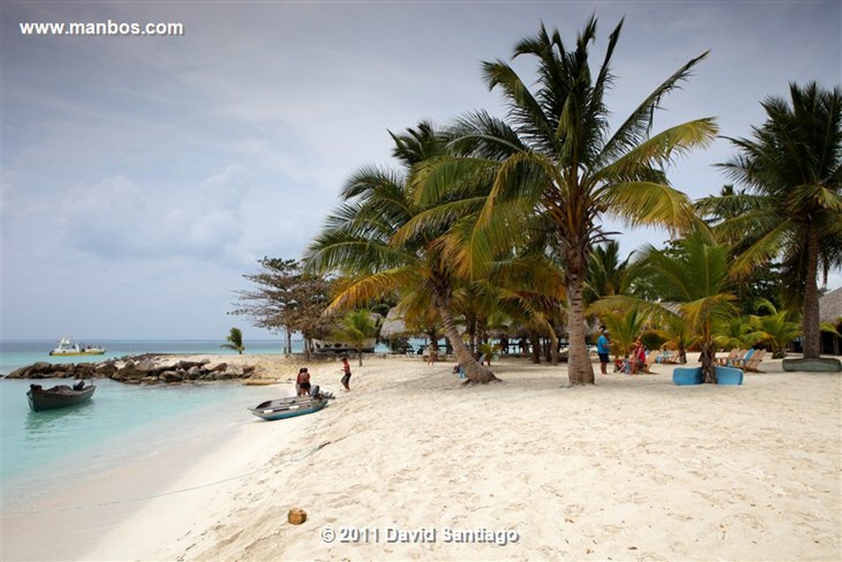 Saona Island
Saona Island
Saona Island