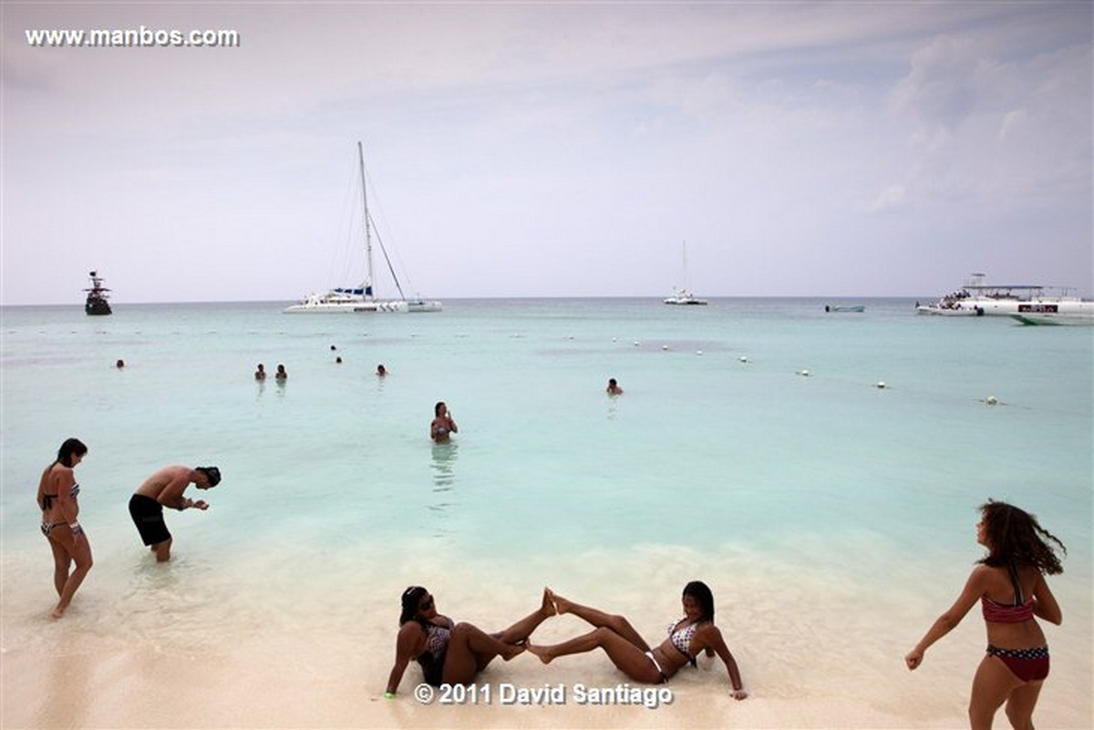 Saona Island
Saona Island
Saona Island