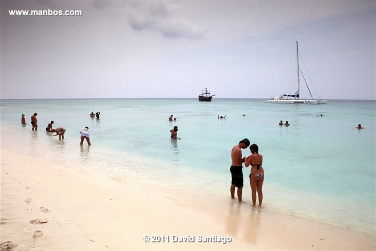 Saona Island
Saona Island
Saona Island