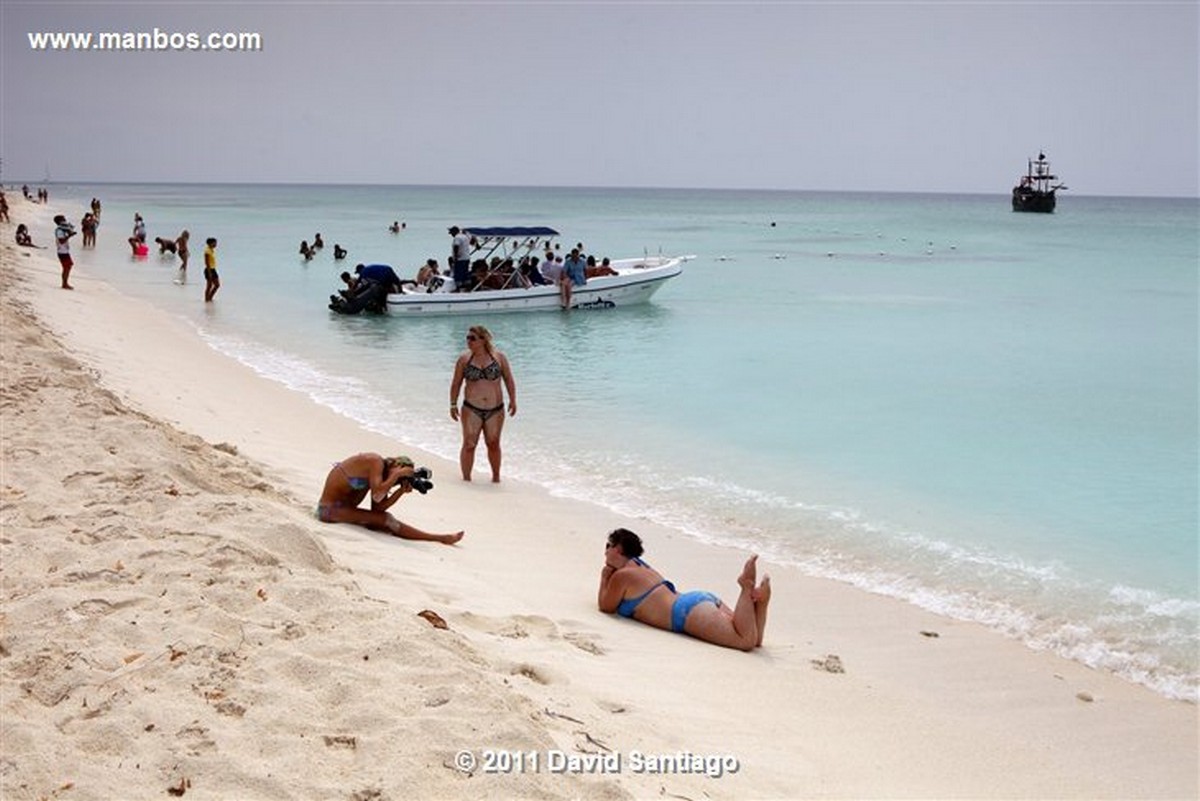 Saona Island
Saona Island
Saona Island