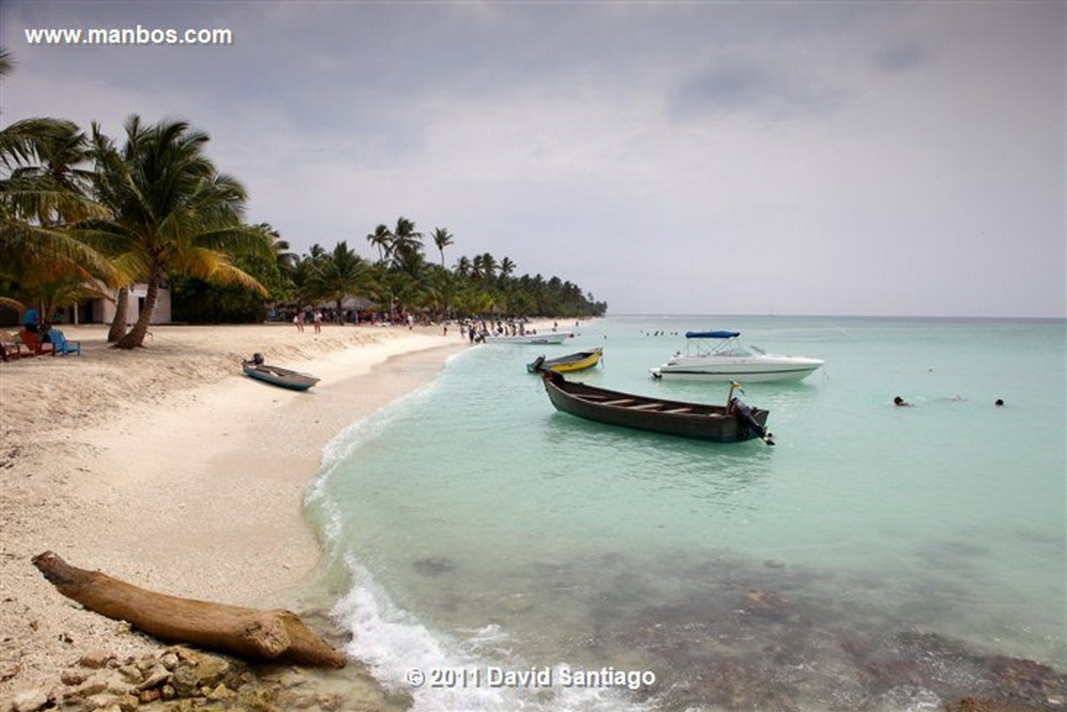 Saona Island
Saona Island
Saona Island