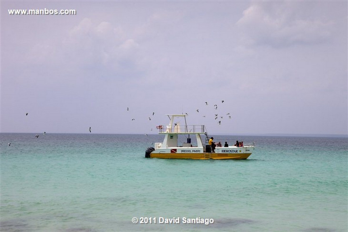 Saona Island
Saona Island
Saona Island