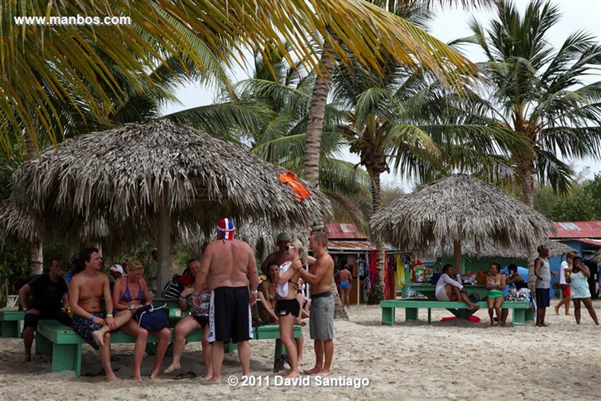 Saona Island
Saona Island
Saona Island