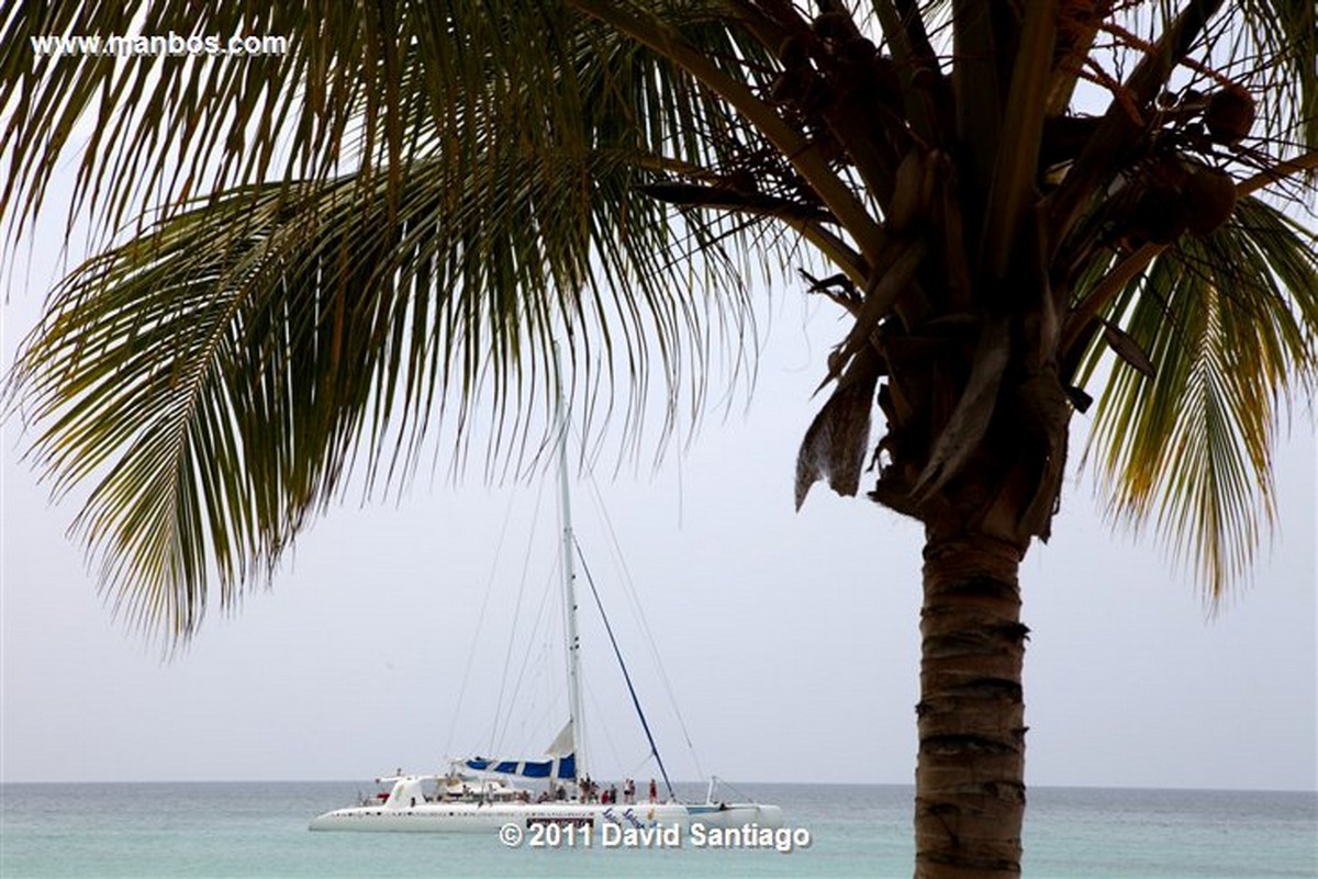 Saona Island
Saona Island
Saona Island