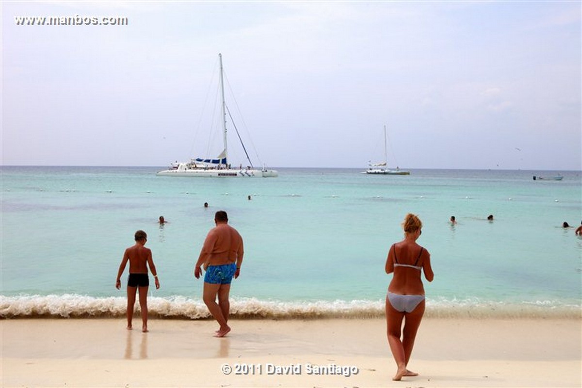 Saona Island
Saona Island
Saona Island